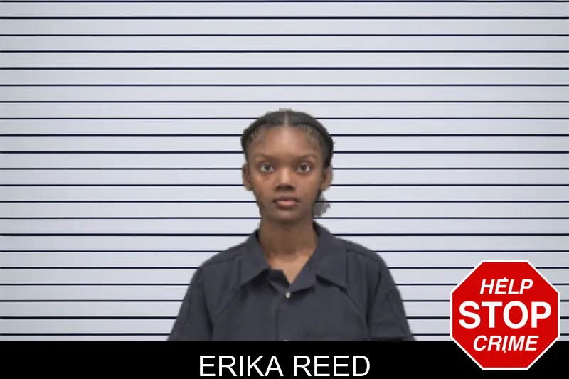 Erika Reed Mugshots