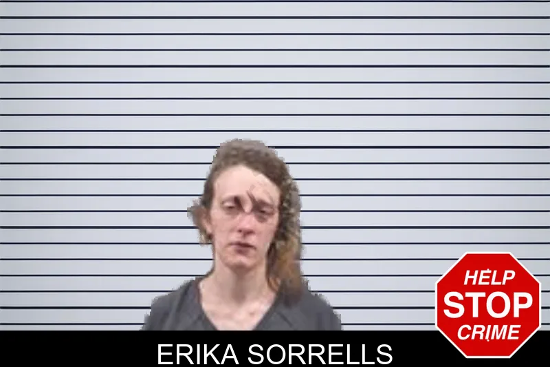 Erika Sorrells Mugshots
