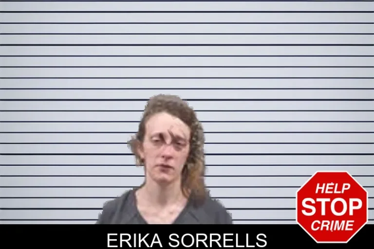 Erika Sorrells mugshot – Banks County , Georgia Erika Sorrells
