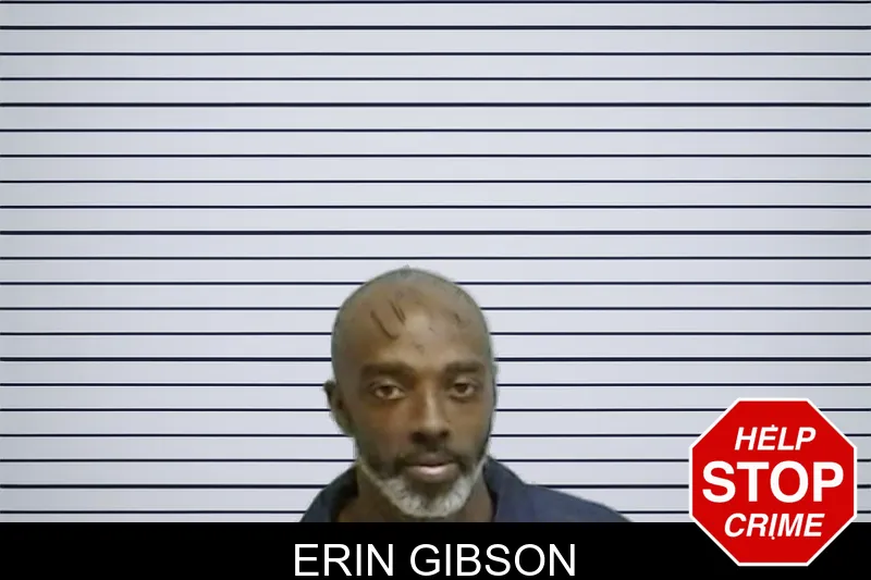Erin Gibson Mugshots