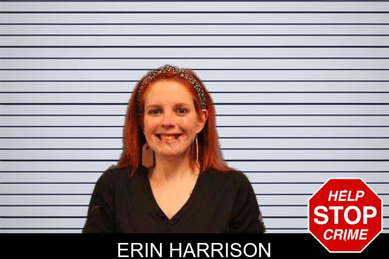 Erin Harrison mugshot
