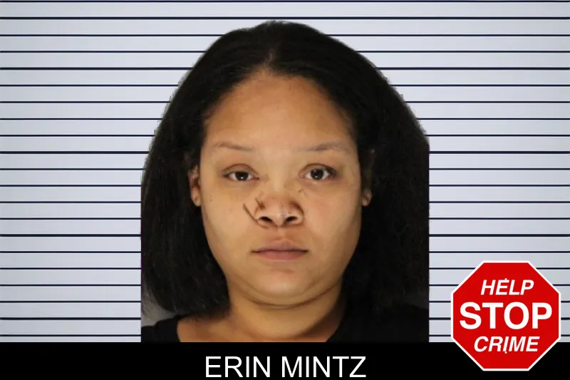 Erin Mintz mugshot