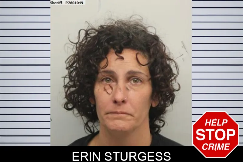 Erin Sturgess Mugshots