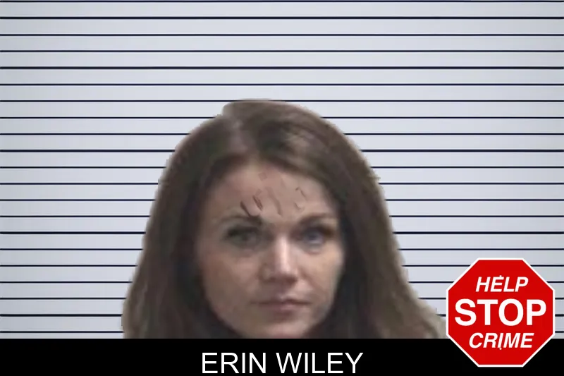 Erin Wiley Mugshots