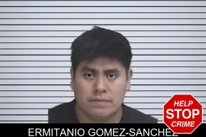 Ermitanio Gomez-Sanchez mugshot