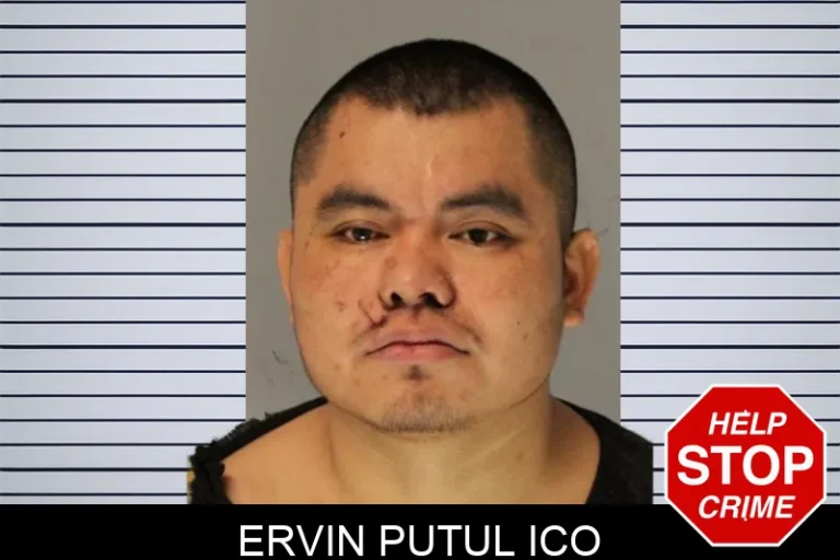 Ervin Putul Ico
