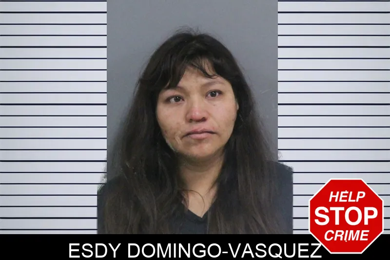 Esdy Domingo-Vasquez Mugshots