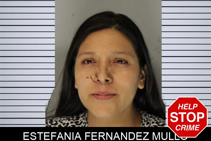 Estefania Fernandez Mullo Mugshots