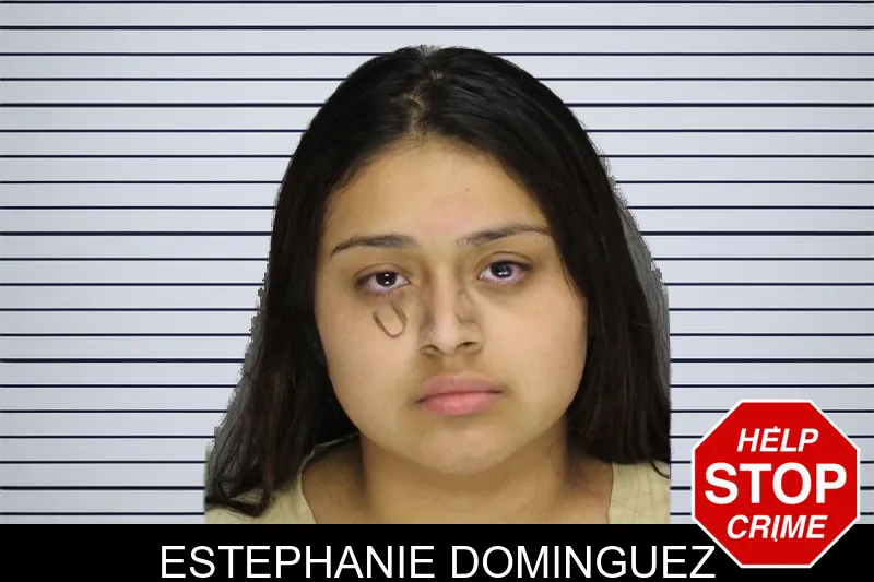 Estephanie Dominguez mugshot – Cobb County , Georgia Estephanie Dominguez mugshot