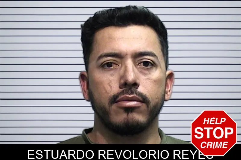 Estuardo Revolorio Reyes Mugshots