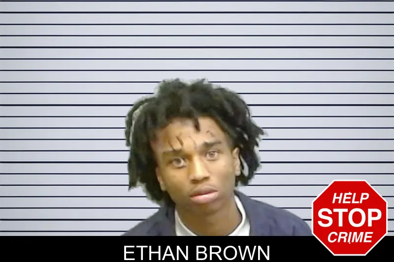 Ethan Brown mugshot – Fulton County , Georgia Ethan Brown mugshot