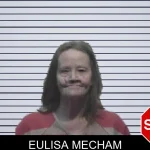 Eulisa Mecham Mugshots