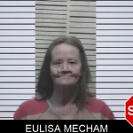 Eulisa Mecham Mugshots