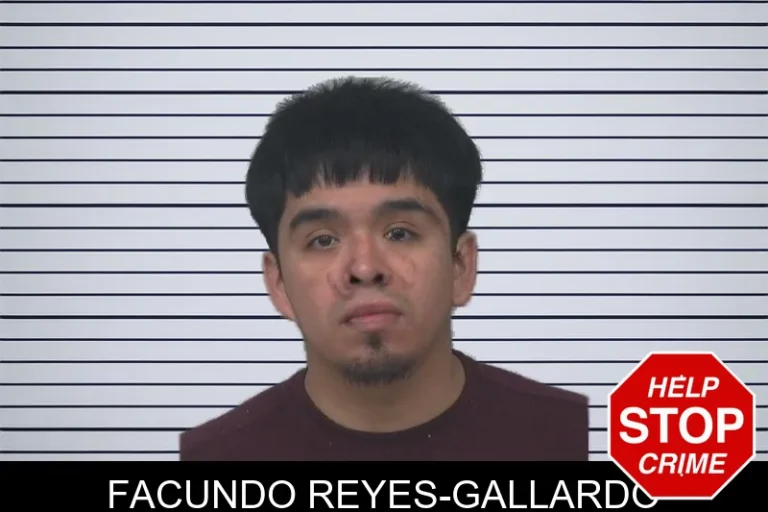 Facundo Reyes-Gallardo mugshot – Gwinnett County , Georgia Facundo Reyes-Gallardo