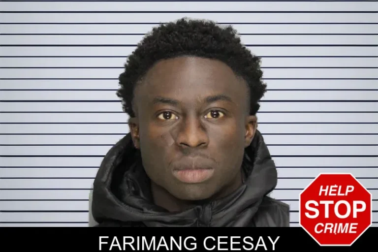 Farimang Ceesay mugshot – Cobb County , Georgia Farimang Ceesay