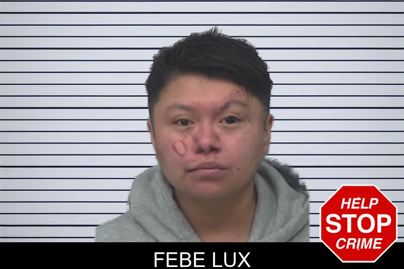 Febe Lux mugshot – Gwinnett County , Georgia Febe Lux mugshot