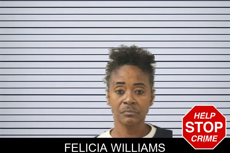 Felicia Williams Mugshots