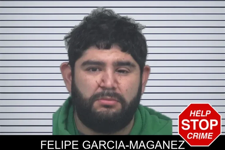 Felipe Garcia-Maganez mugshot – Gwinnett County , Georgia Felipe Garcia-Maganez