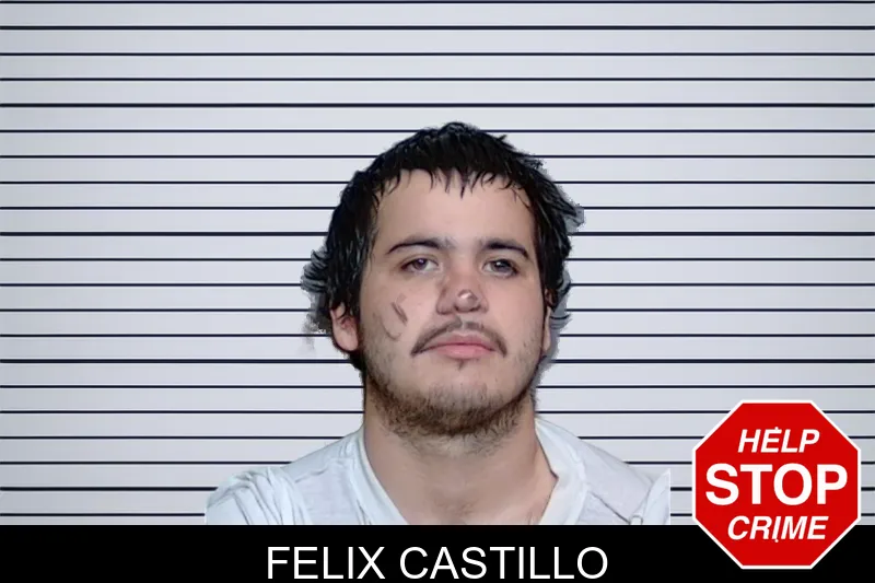 Felix Castillo Mugshots