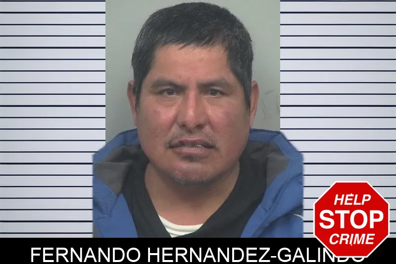 Fernando Hernandez-Galindo mugshot – Gwinnett County , Georgia Fernando Hernandez-Galindo mugshot