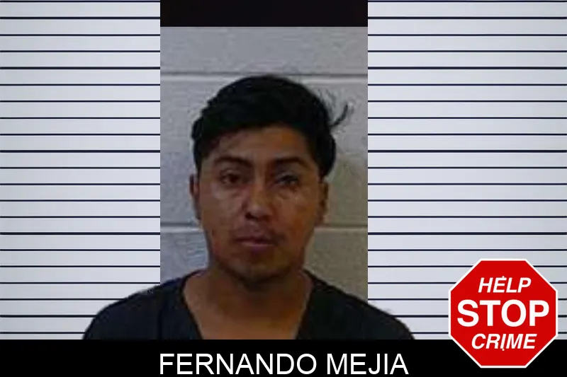 Fernando Mejia Mugshots