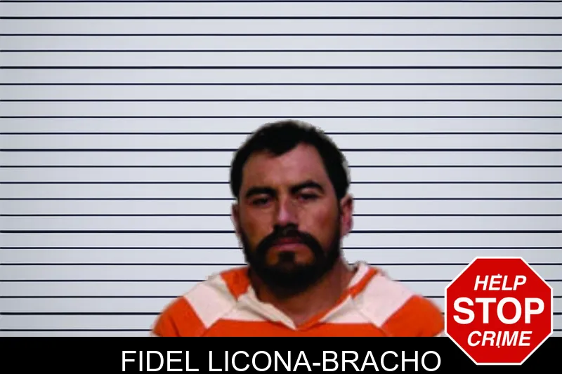 Fidel Licona-Bracho mugshot