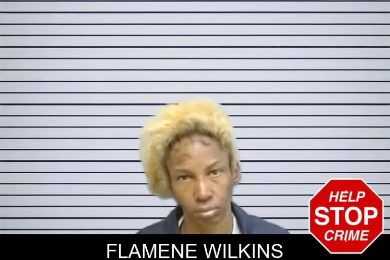 Flamene Wilkins