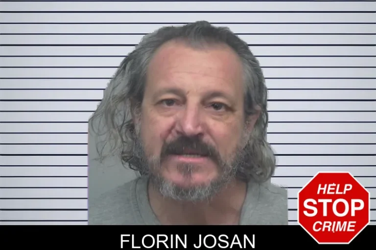 Florin Josan mugshot – Gwinnett County , Georgia Florin Josan