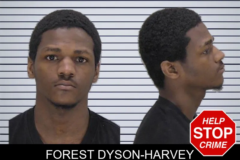 Forest Dyson-Harvey mugshot