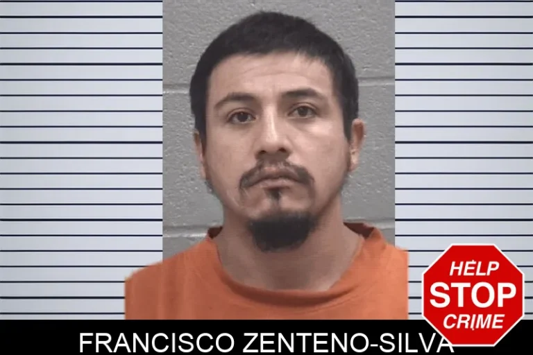 Francisco Zenteno-Silva