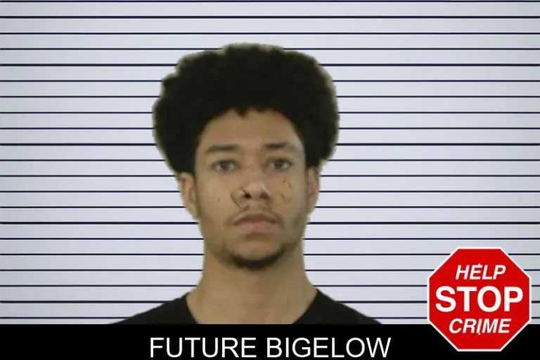 Future Bigelow