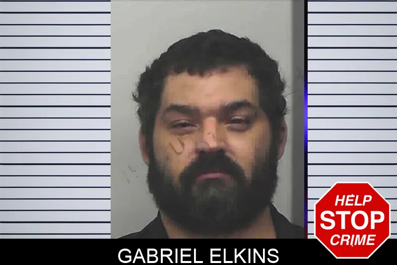 Gabriel Elkins mugshot