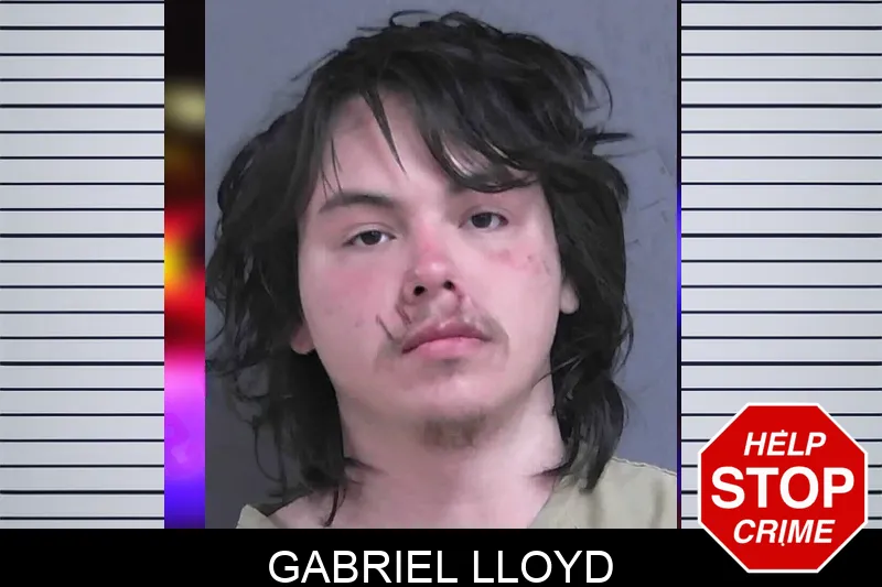 Gabriel Lloyd mugshot