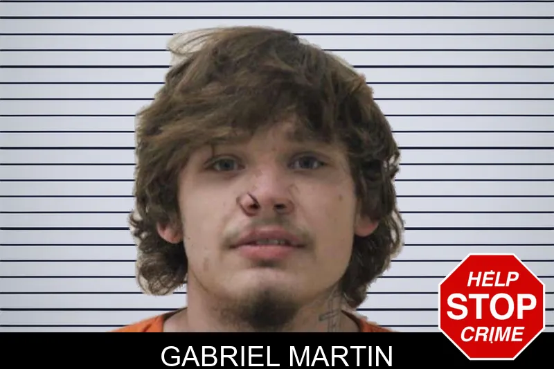 Gabriel Martin Mugshots
