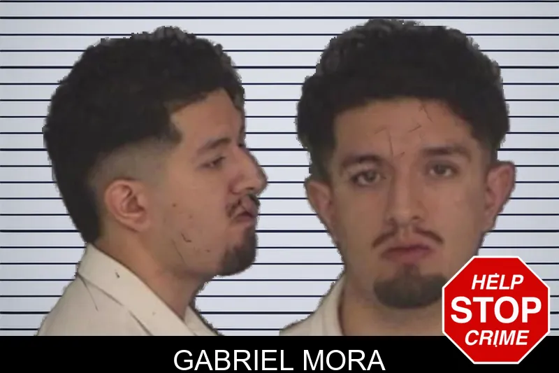 Gabriel Mora Mugshots