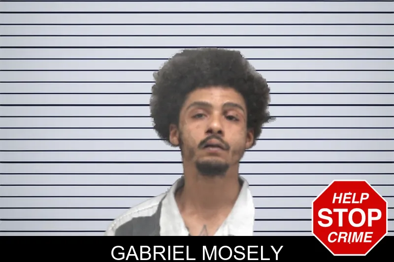 Gabriel Mosely Mugshots