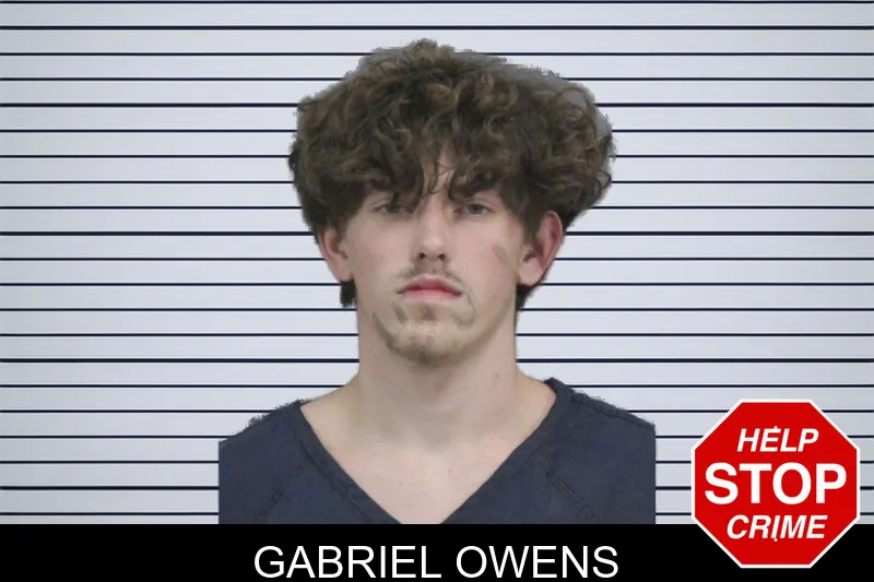 Gabriel Owens mugshot