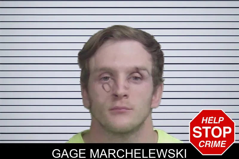 Gage Marchelewski mugshot – Wayne County , Georgia Gage Marchelewski mugshot