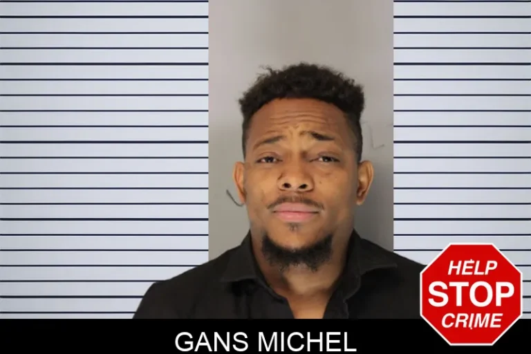 Gans Michel