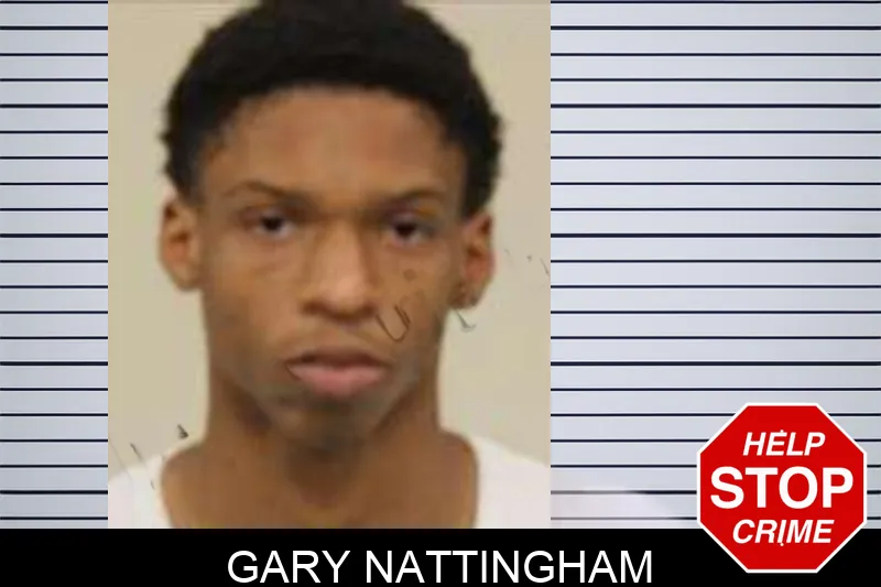 Gary Nattingham Mugshots