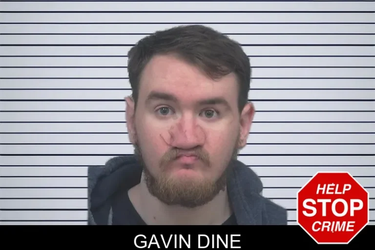 Gavin Dine