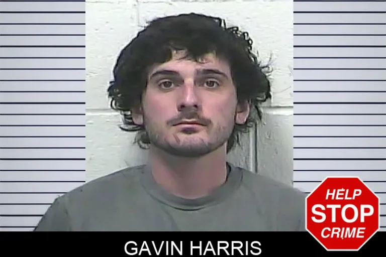Gavin Harris