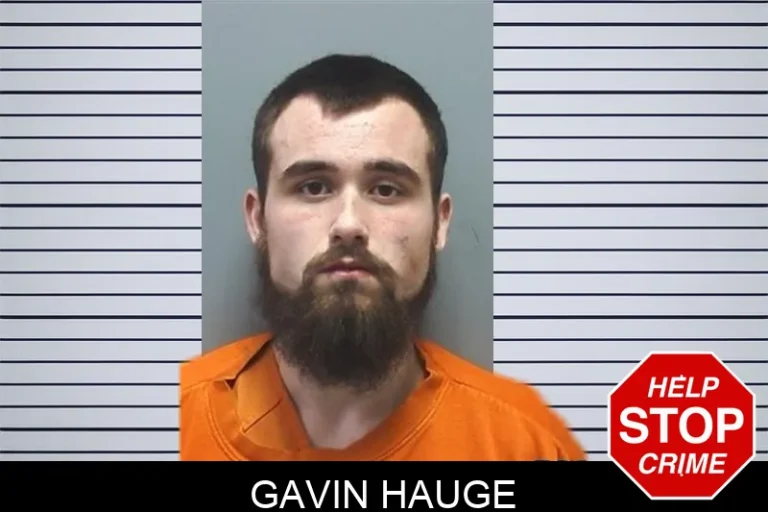 Gavin Hauge