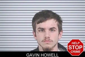 Gavin Howell mugshot
