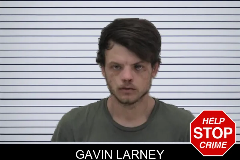 Gavin Larney Mugshots