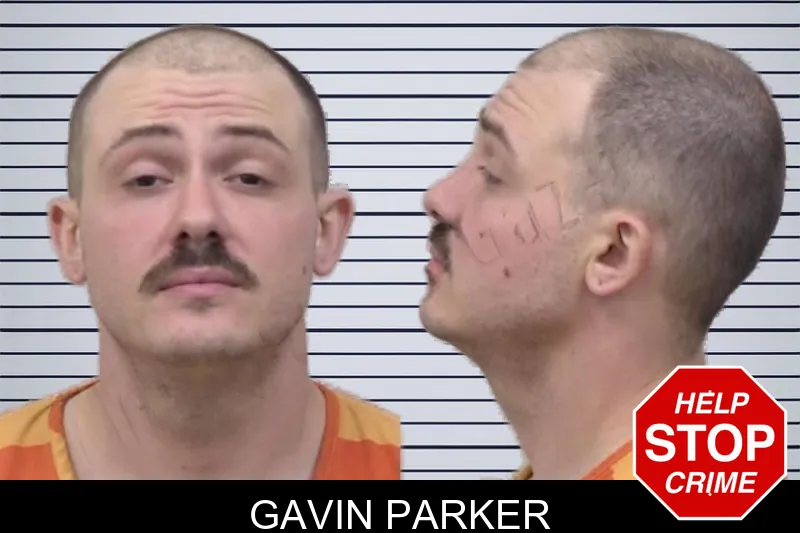 Gavin Parker mugshot – Paulding County , Georgia Gavin Parker mugshot