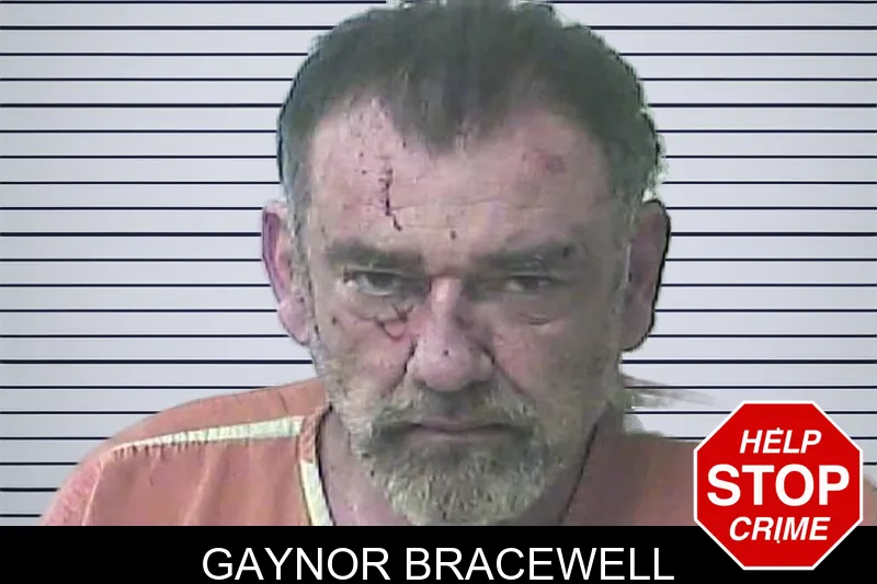Gaynor Bracewell Mugshots