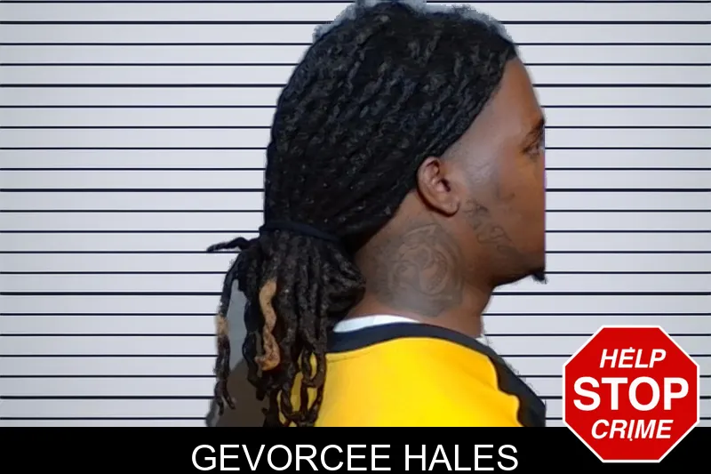 Gevorcee Hales mugshot – Glynn County , Georgia Gevorcee Hales mugshot