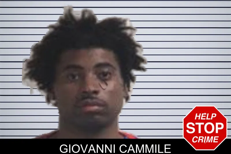 Giovanni Cammile Mugshots