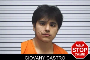 Giovany Castro mugshot
